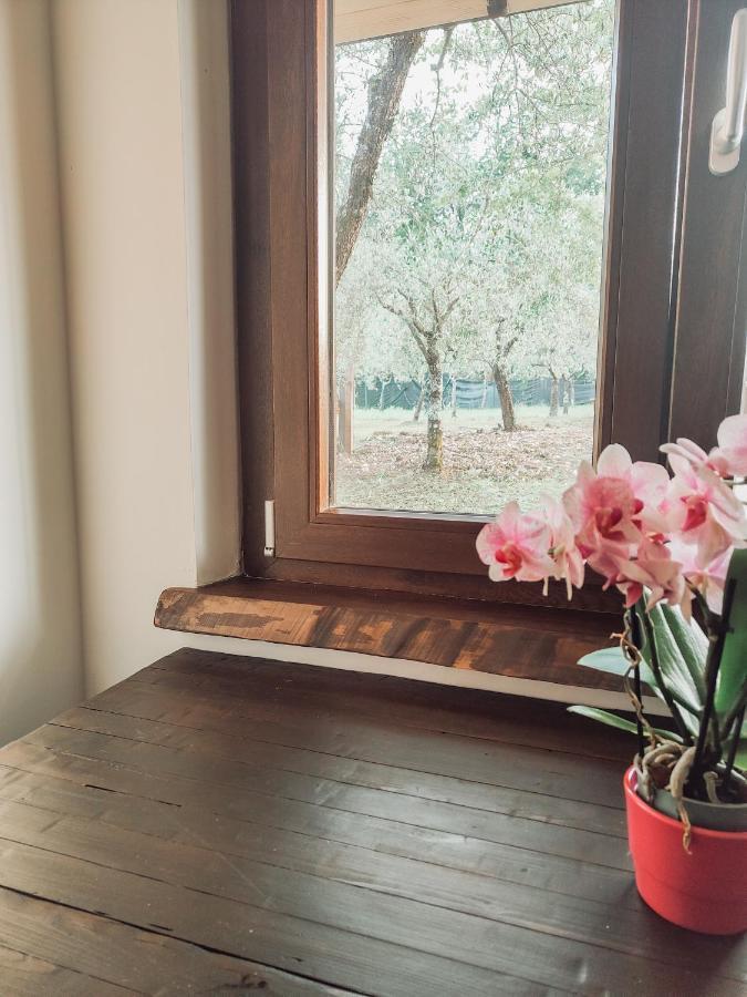 Casale Dei Ricordi Acomodação com café da manhã Arce Exterior foto